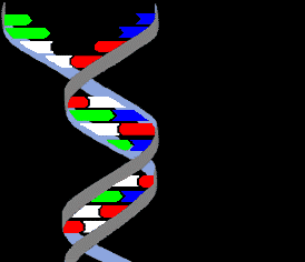 DNA